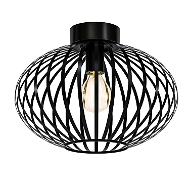 Elegant Industrial Metal Ceiling Light 3D model image 1 