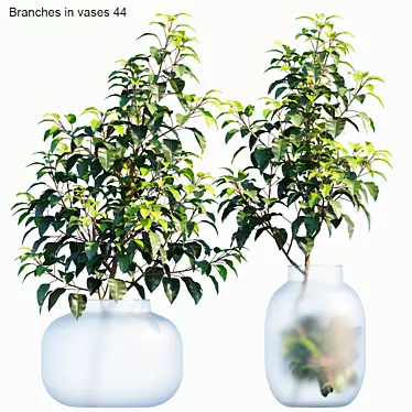 Elegant Branches in Vases 3D model image 1 