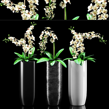Exquisite Orchid Flower Set 3D model image 1 