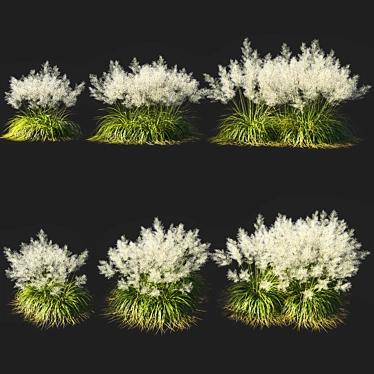 Ethereal White Muhly Grass 3D model image 1 