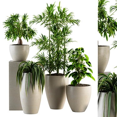  Green Oasis: Indoor Plant Set 3D model image 1 