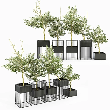 Elegant Olea Plant Stand: Polys: 1 276 906 3D model image 1 
