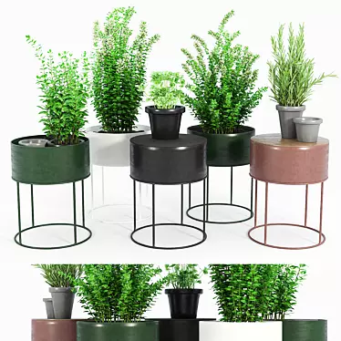 Round Plant Box: Versatile & Beautiful 3D model image 1 