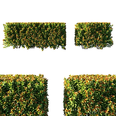 EasyCare Spiraea Hedge Bush 3D model image 1 