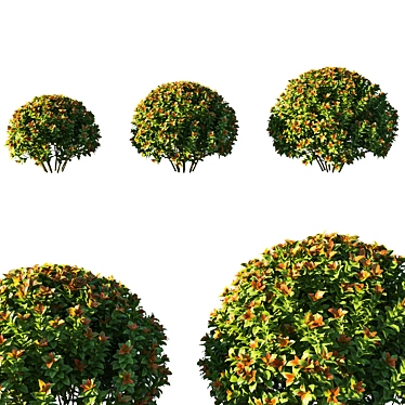 Spiraea Japonica Bush: Stunning 3D Model 3D model image 1 