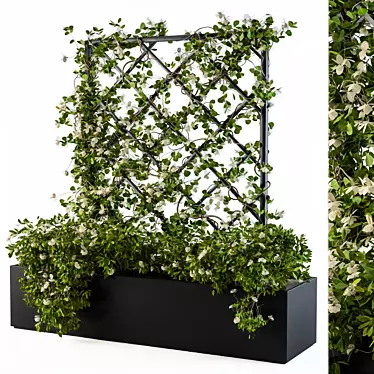 Ivy Blossom Box: Beautiful Greenery 3D model image 1 