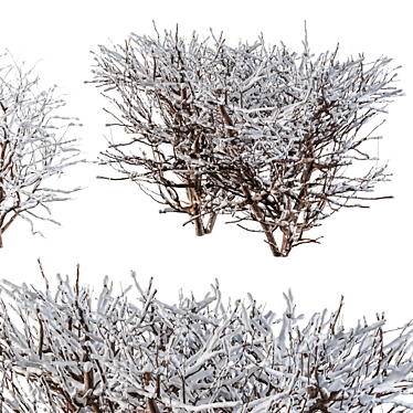  Winter Wonderland Snow Bush Set 3D model image 1 