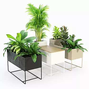 Premium Plant Box for Large Spaces 3D model image 1 