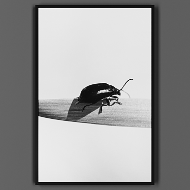 Title: Black Framed Artwork 3D model image 1 