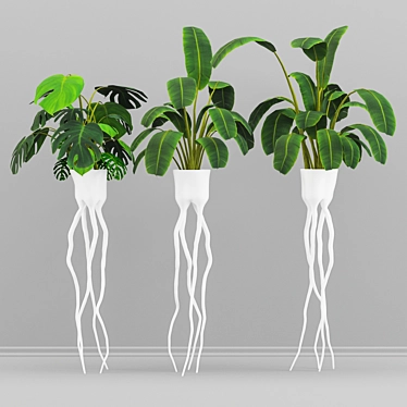 Tropical Vibes: Monstera Plant Pot Set 3D model image 1 
