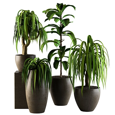 42-Piece Hanging Indoor Plants Set 3D model image 1 