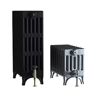 Carron Victorian 6 Heating Radiator 3D model image 1 