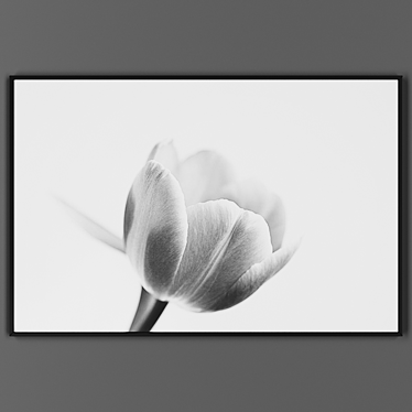 Elegant Black Frame Picture 3D model image 1 