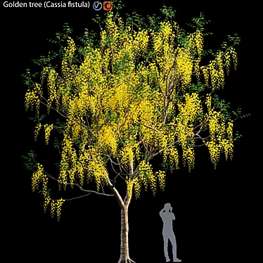 Golden Tree (Cassia fistula) Model 3D model image 1 