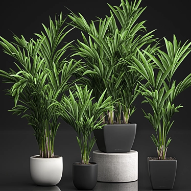 Tropical Palm Collection | Exotic & Stylish 3D model image 1 