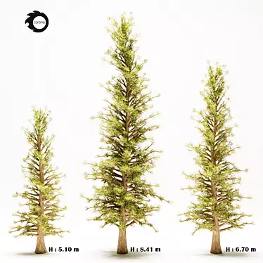 Pine Tree 110: Majestic 670cm Tall 3D model image 1 