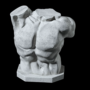 Title: Laocoon Torso Sculpture - Timeless Elegance 3D model image 1 