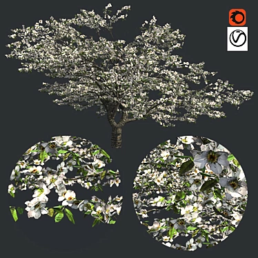 Cherry Blossom Dream Tree 3D model image 1 
