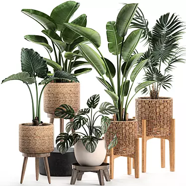 Tropical Plant Basket Collection 3D model image 1 