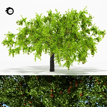 Vintage Apple Tree 5S Sculpture 3D model image 1 