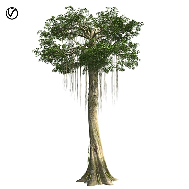 Optimized Kapok Tree 3D Model 3D model image 1 