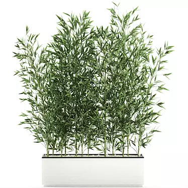 Exotic Bamboo Plant in White Vase 3D model image 1 