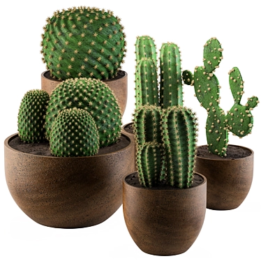 Desert Vibes: Cactus Collection 02 3D model image 1 