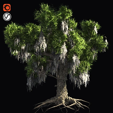 Optimized Live Oak Tree 3D model image 1 