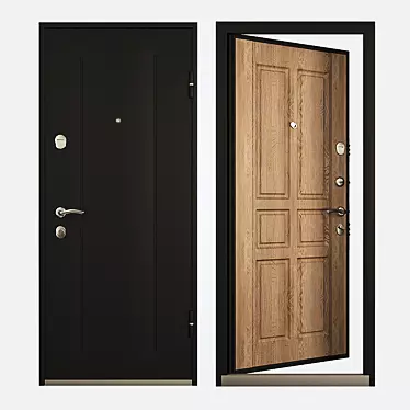 Entrance door DELTA-100 from TOREX 860x2050