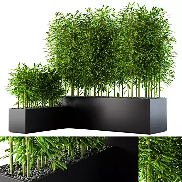 Bamboo Haven: Lush Plant Box 3D model image 1 