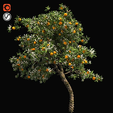  Blooming Orange Tree 3D model image 1 