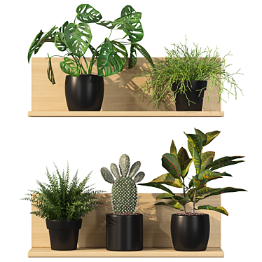 Vertical Plants Collection: Opuntia, Rhipsalis, Monstera, Croton & Fern 3D model image 1 