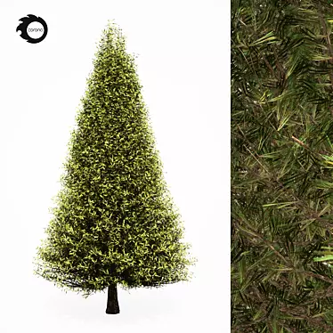 Realistic Pine Tree 6S 3D model image 1 