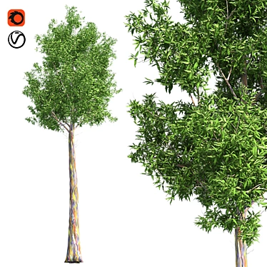 Optimized Quad Gum Tree 3D model image 1 