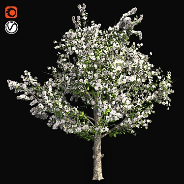 Pruned Apple Tree, High-Quality 4K Texture 3D model image 1 