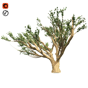 Lebanon Cedar: Realistic 3D Tree 3D model image 1 