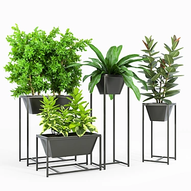 Elevate Nature: Stand Planter Set 3D model image 1 