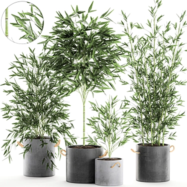 Exotic Bamboo: Decorative Plant Collection 3D model image 1 