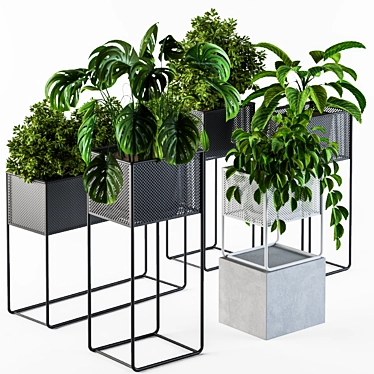 Green Oasis Indoor Plant Collection 3D model image 1 