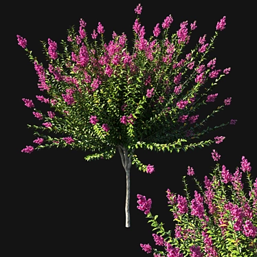Exquisite Myrtle Tree Sculpture 3D model image 1 