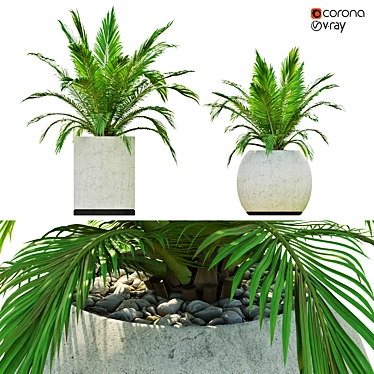 Pair of Majestic Palms in Pot 3D model image 1 