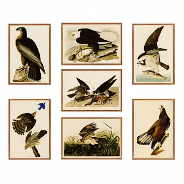 Audubon's Exquisite Bird Posters 3D model image 1 