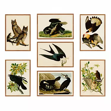 Audubon's Bird Posters #02  3D model image 1 