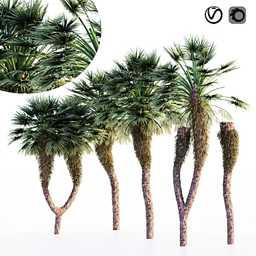 Tropical Paradise: Chinese Fan Palm Set 3D model image 1 