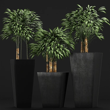 Title: Exotic Palm Trees for Stunning Decor 3D model image 1 