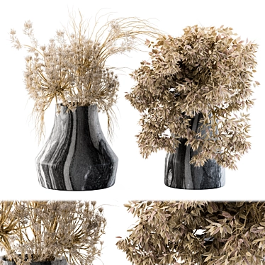 14 Dried Plants: Beauty Preserved 3D model image 1 