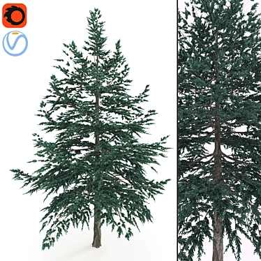  High Poly Conifer Tree: Corona Render, 3Ds Max, FBX 3D model image 1 