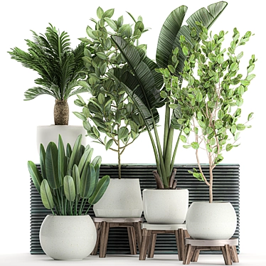 Tropical Plant Collection: Exotic Indoor Plants in White Pots 3D model image 1 