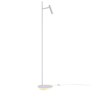 Maytoni Estudo Modern Floor Lamp 3D model image 1 