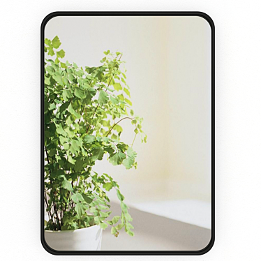 Metal Framed Rectangular Mirror 3D model image 1 